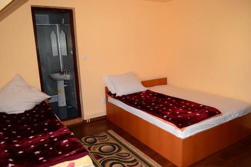 Hostal Pensiunea Floare De Colt