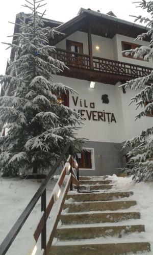 Hostal Vila Veverita