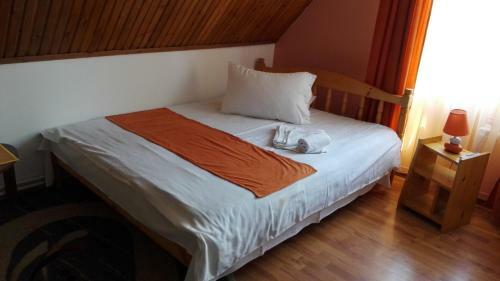Hostal Pensiunea Alpin