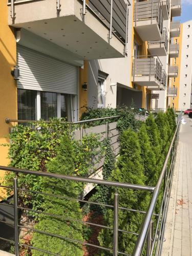 Apartamento Ada Studio 1