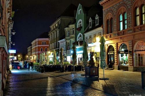 Star Apartment In Historic Center