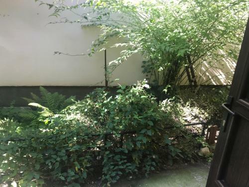 Apartamento Old City House