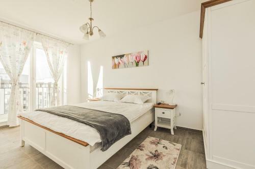 Elegant Sophia's Apartment