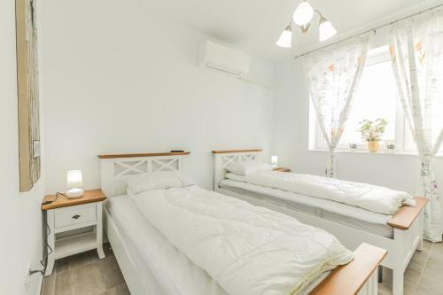Elegant Sophia's Apartment
