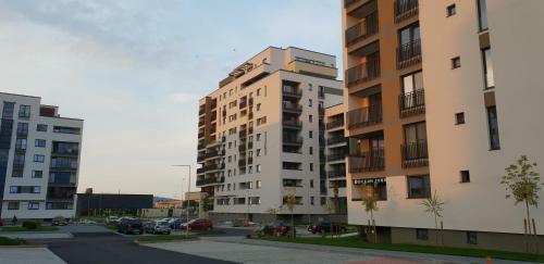 Elegant Sophia's Apartment