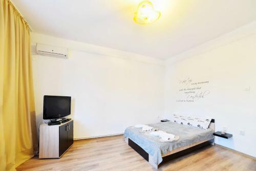 Apartamento Universitate Studio