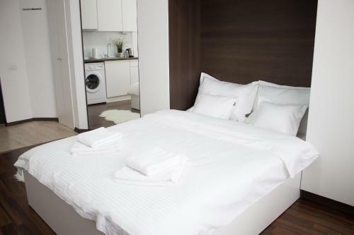 Apartamento Grand Central Accommodation - Doamnei