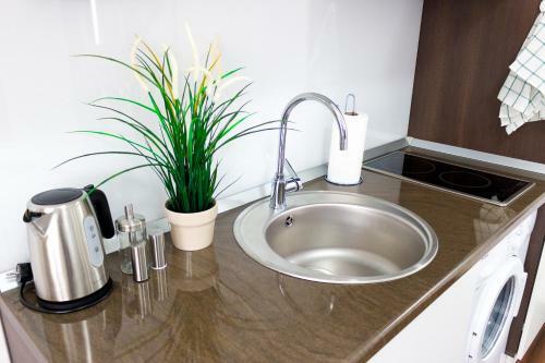 Apartamento Grand Central Accommodation - Doamnei