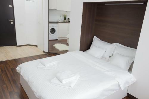 Apartamento Grand Central Accommodation - Doamnei