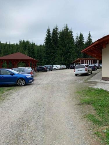 Hostal Cabana Cerbul-oasa-transalpina