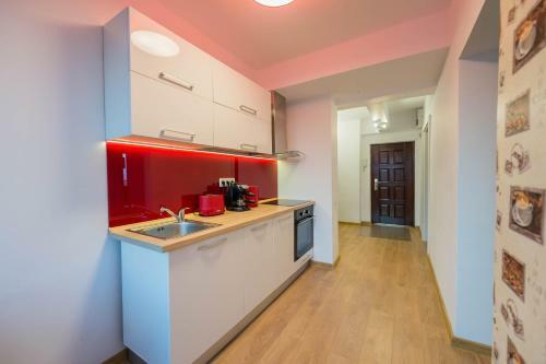 Skyline Downtown Apartment