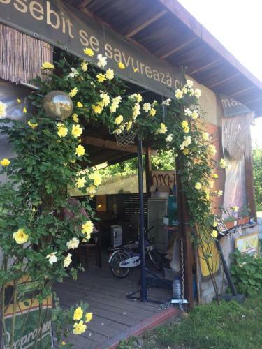 Casa Roz Hostel