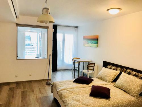 Apartamento Iulius Mall City View