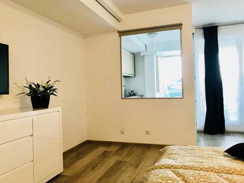 Apartamento Iulius Mall City View