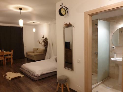 Apartamento Cluj City Iris Appartment