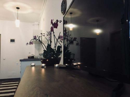 Apartamento Cluj City Iris Appartment