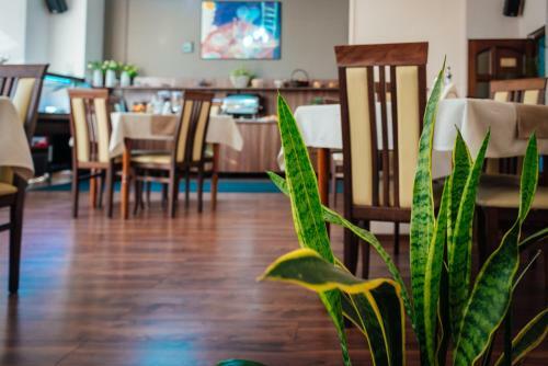 Hotel Onix