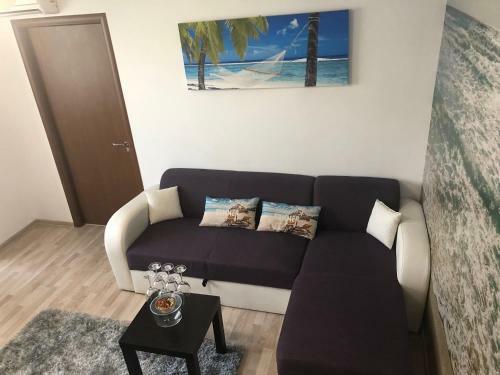 Apartament Antonia Sat Vacanta
