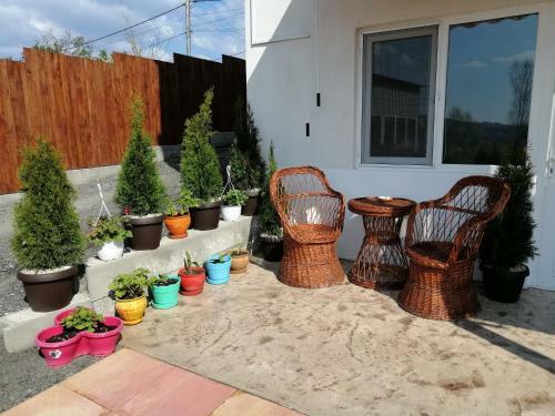 Hostal Collias