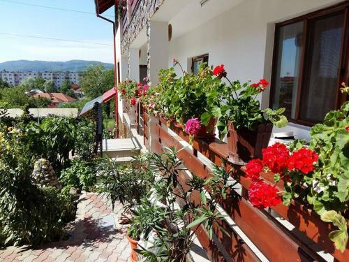 Hostal Pensiunea Dana
