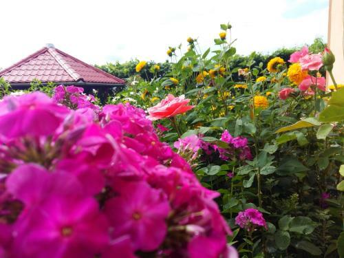 Hostal Pensiunea Dana