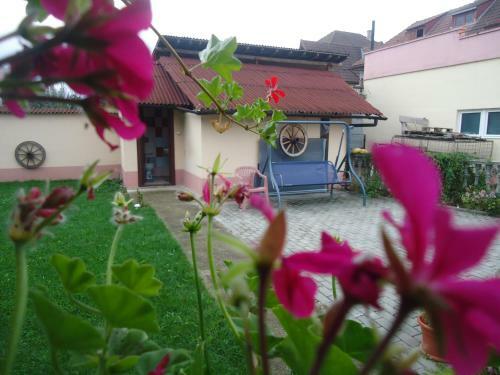 Hostal Casa Cu Piatra