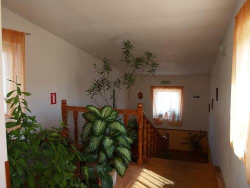 Hostal Vila Veche