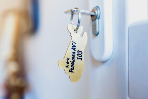 Hostal Pensiunea Avy