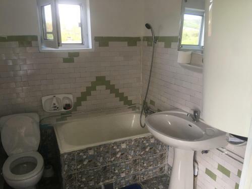 Hostal Vila La Izvorul Putinei