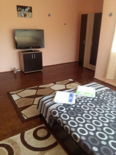 Hostal Vila La Izvorul Putinei