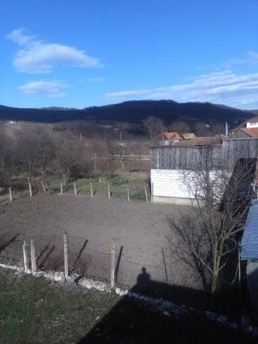 Hostal Vila La Izvorul Putinei