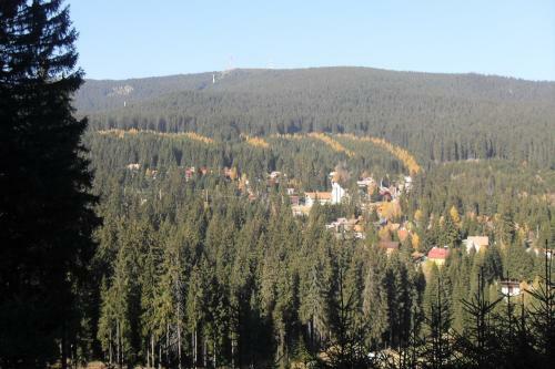 Hostal Casa Bog�t H�z