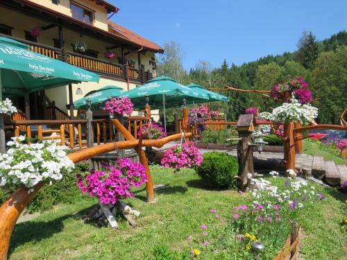 Hostal Erdelyi Gonduzo Pension Restaurant