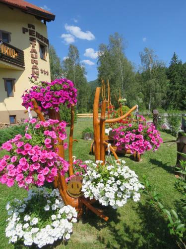 Hostal Erdelyi Gonduzo Pension Restaurant