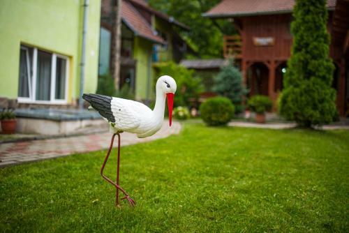 Hostal Pensiunea George