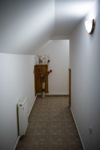 Hostal Pensiunea George
