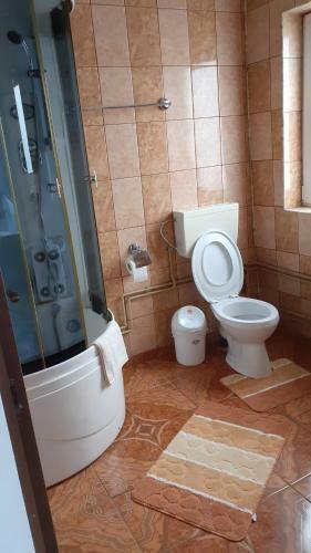 Hostal Casa Nicoleta