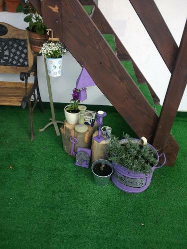 Apartament Humorel