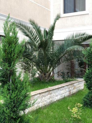 Apartament Solid Central Mamaia