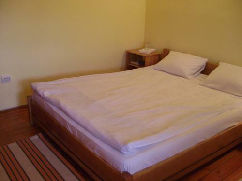 Hostal Pensiunea Popasul Iancului
