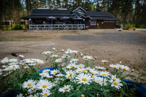 Ahvenlampi Camping