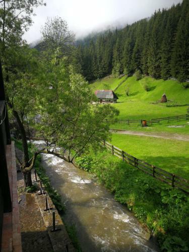 Hostal Casa Cu Flori