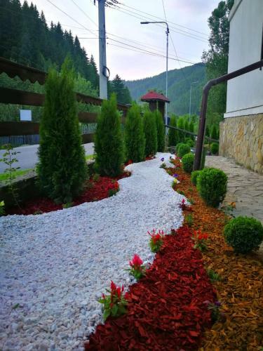 Hostal Casa Cu Flori