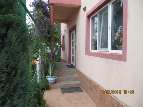 Villa Vila Mihai