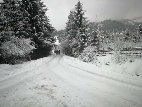 Agroturismo Maramures Landscape