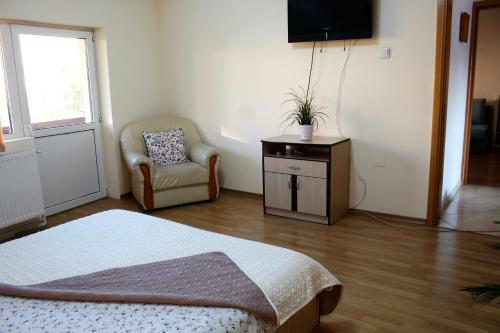 Collosal Apartment With Garden