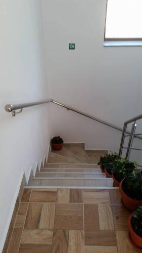 Hostal Pensiunea Minodora