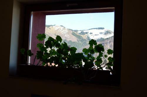 Hotel Rusu