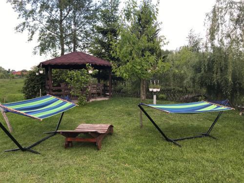 Hostal Conacul Lui Patrick