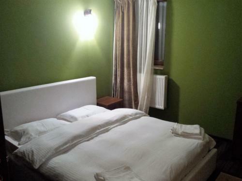 Hostal Pensiunea Clasic